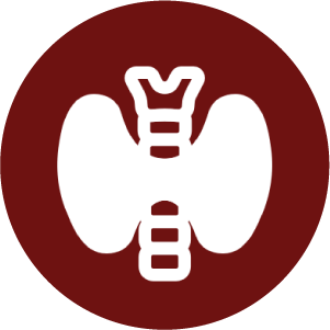 1744781536_Icon 13.png